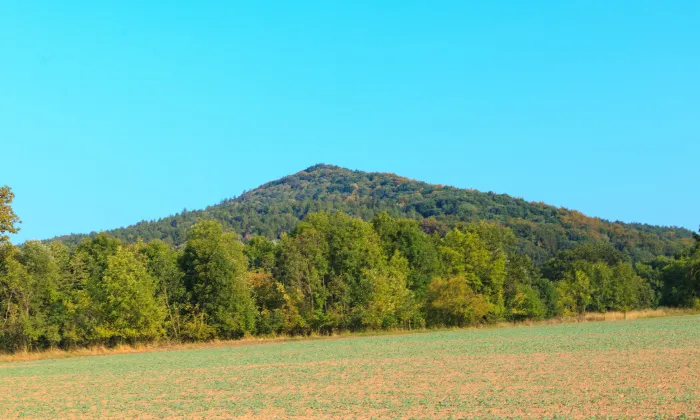 Vávrův mlýn (Cidlina)