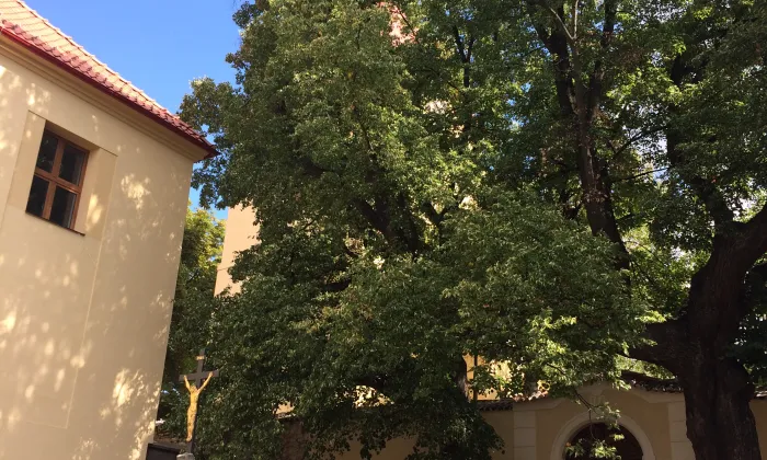 Fara (Hostivice)