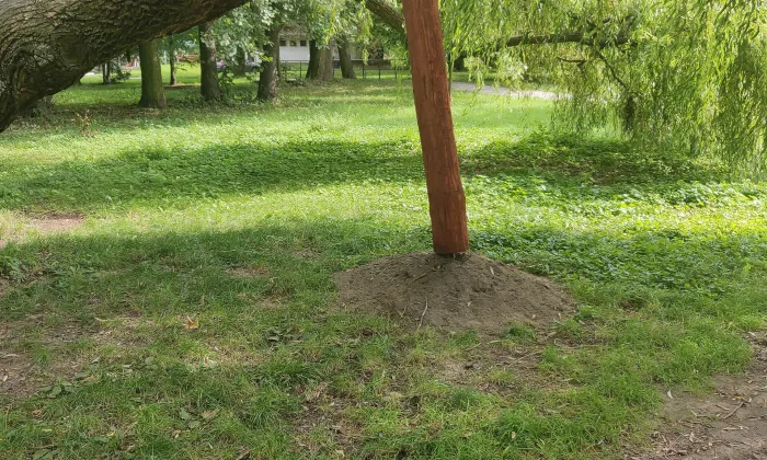 Fontána v parku Boženy Němcové