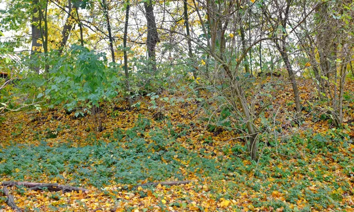 Kaplička (Kostelní Bříza)