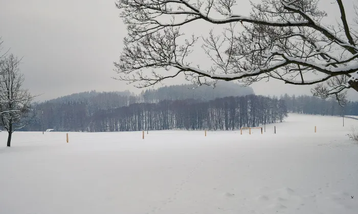 Kaplička (Kostelní Bříza)
