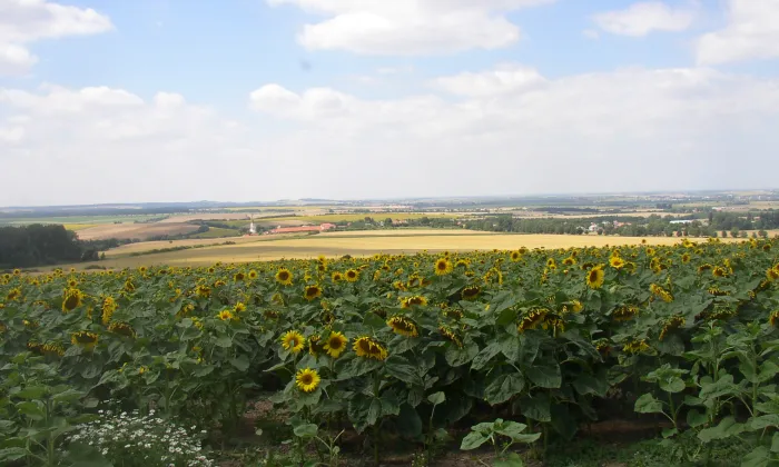 Lipanská mohyla