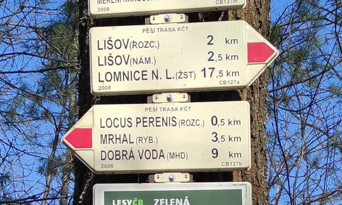 Locus perennis