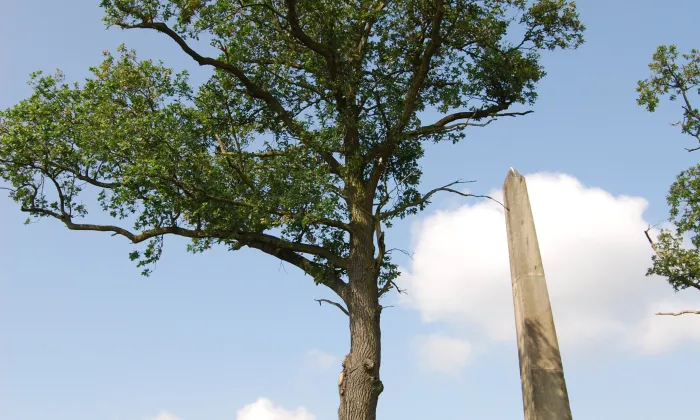 Martinický obelisk