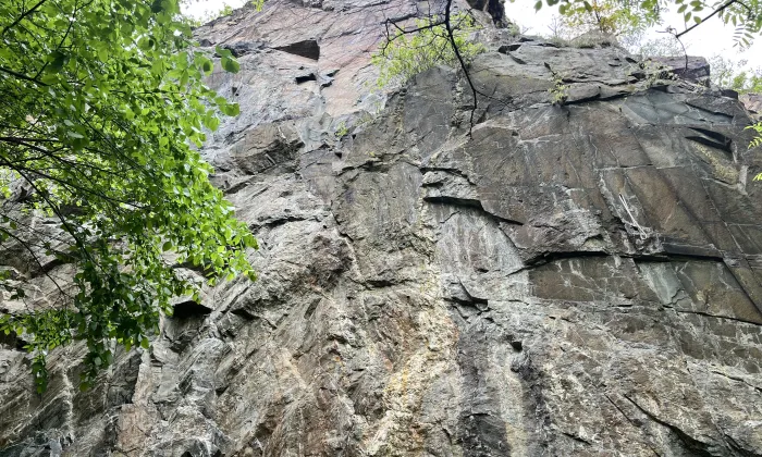 Sekanka