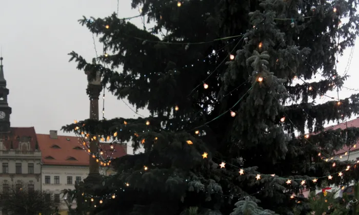 Sloup Nejsvětější Trojice (Česká Lípa)