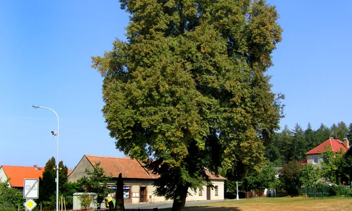 Sloup se sochou svatého Jana Nepomuckého (Těchlovice)