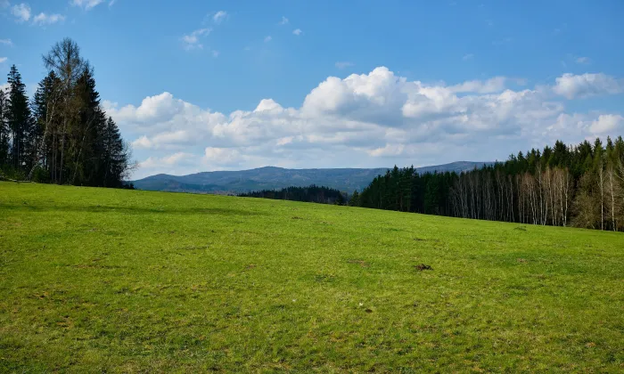 Smírčí kříž (Nivy)