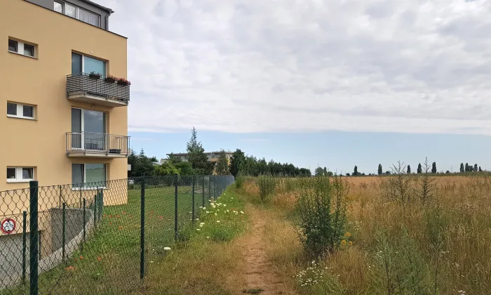 Socha svatého Donáta