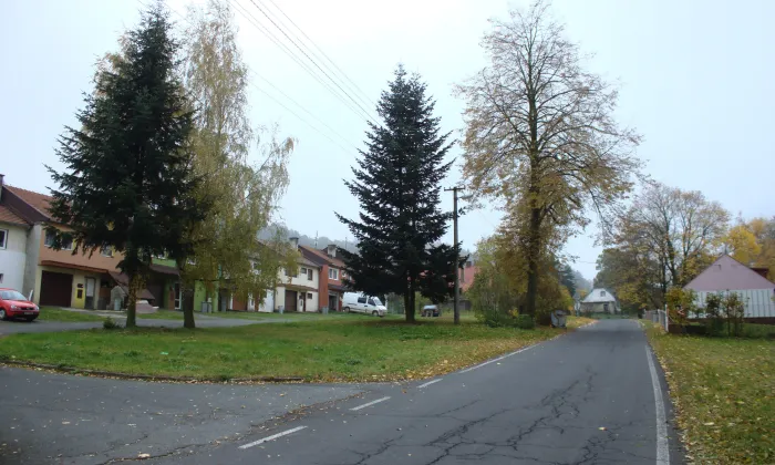 Socha svatého Jana Nepomuckého (Jelení)