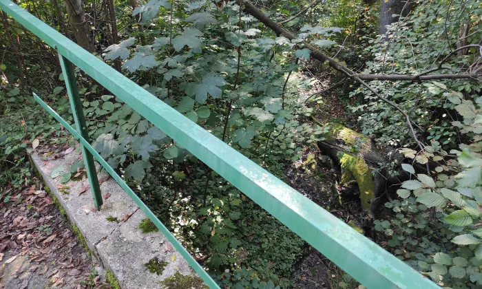 Socha svatého Jana Nepomuckého v Horních Domaslavicích