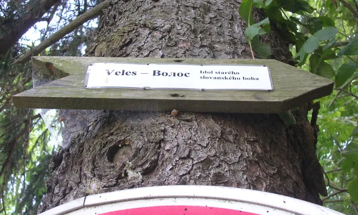 Výšinné neopevněné sídliště Velíz