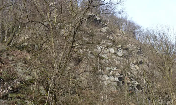 dřevěná lávka v Prudké