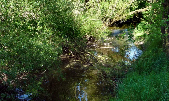 kamenný most u Lékařovy Lhoty
