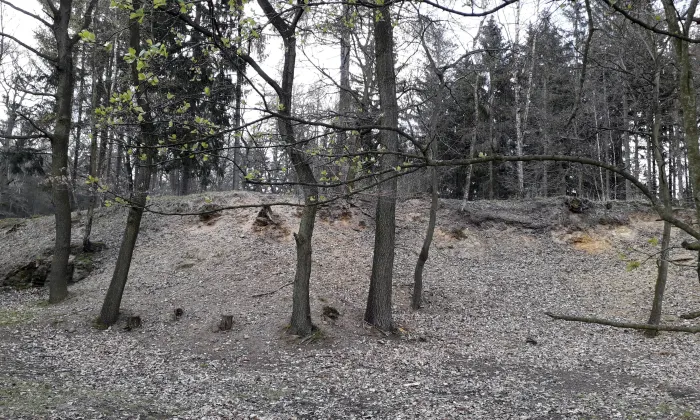 keltská viereckschanze u Mšeckých Žehrovic