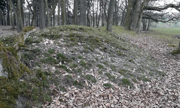 keltská viereckschanze u Mšeckých Žehrovic