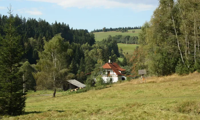 rýžoviště zlata u Lipky