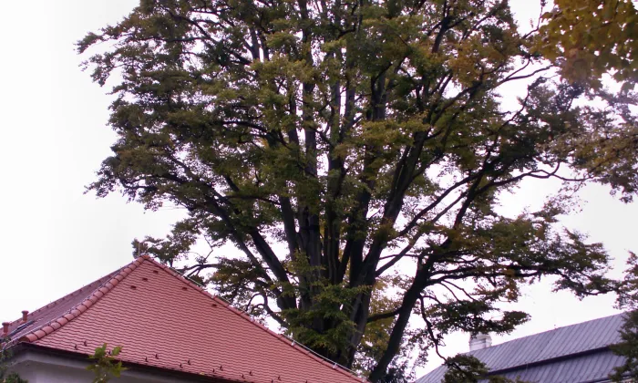 Kardašova Řečice (nádraží)