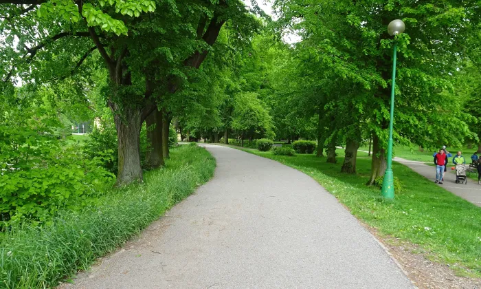 Městská knihovna