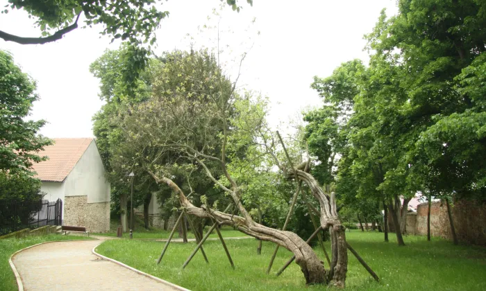 Městská spořitelna (Moravské Budějovice)