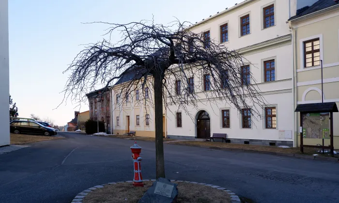 Městský dům (Andělská Hora, 1000141195)