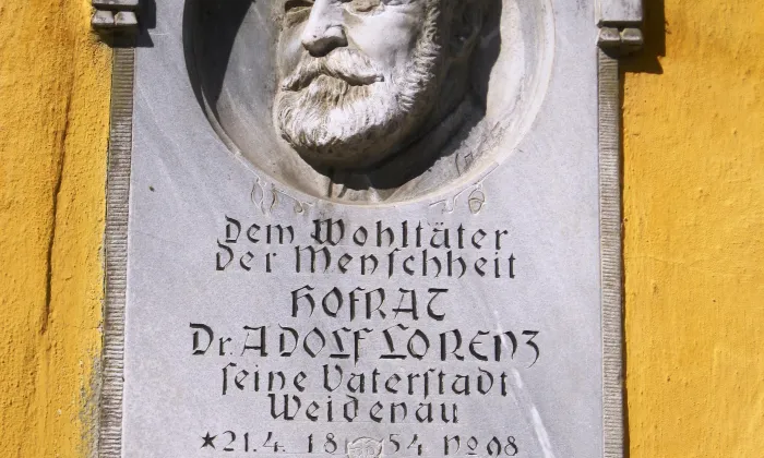 Městský dům (Vidnava, 1000139406)