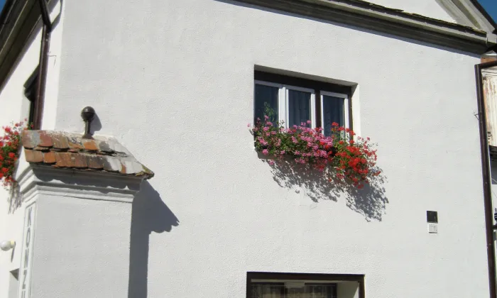 Městský dům (Vidnava, 1000139406)