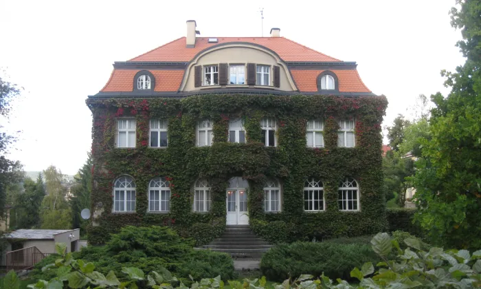 Schmelowského vila