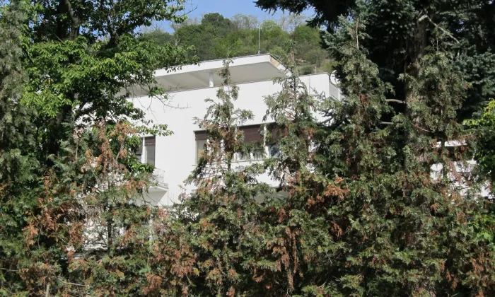 Schückova vila