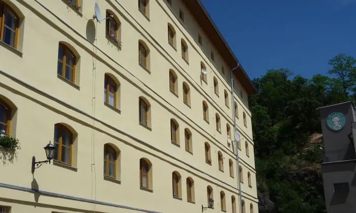 Subakova koželužna