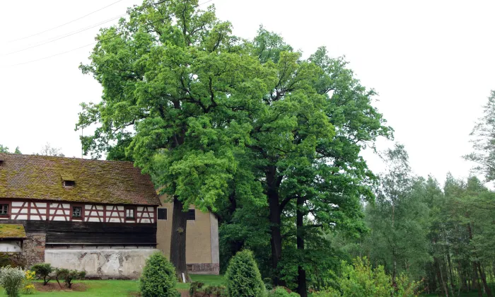 Usedlost čp. 3 (Tuřany)
