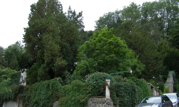 Vančurova vila