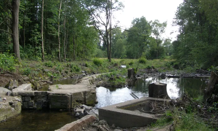 Vila Adalberta Plumerta