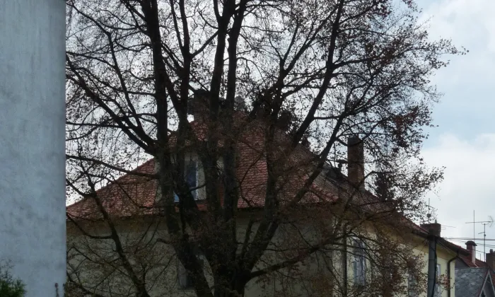 Vila JUDr. Františka Švece