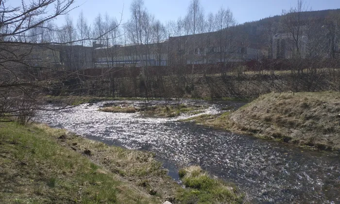 Vila Lothara Grohmanna