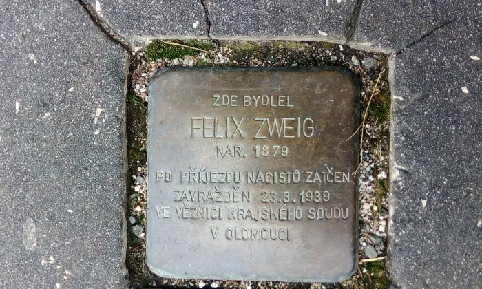 Vila Otto Zweiga