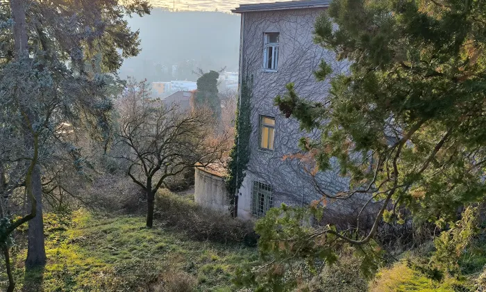 Vila Wittal