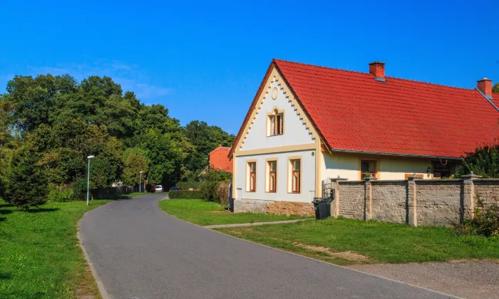 Vosáhlova vila