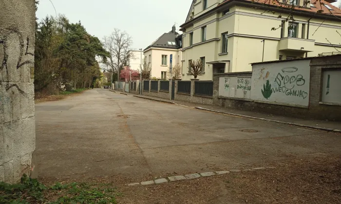 Zlatnice