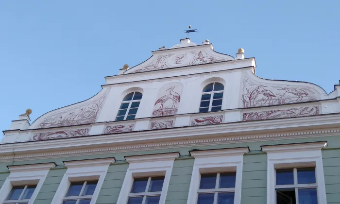 Základní škola, Matice školské 3