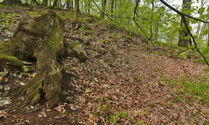 vila Oskara Lea Sterna