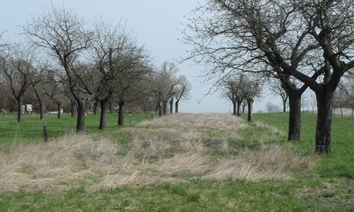 Skalka (hradiště)