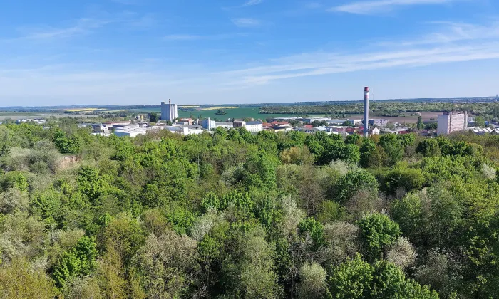 Slánská hora