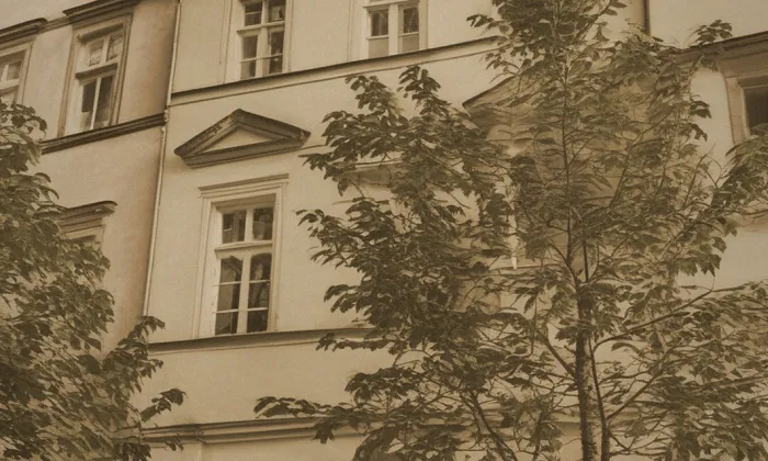 dům U Bílého orla – historická rekonstrukce
