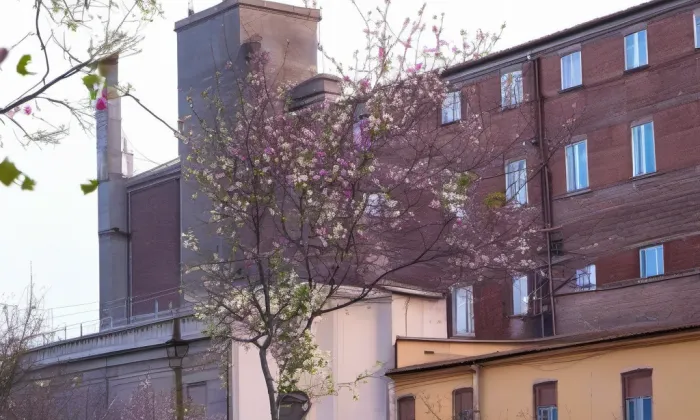 Sehnoutkův dům – jaro