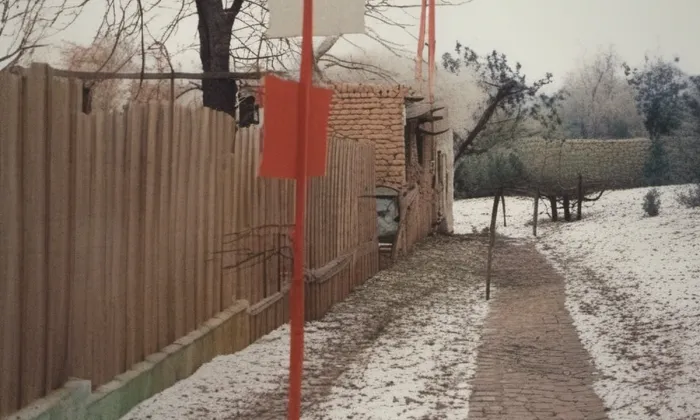 Všetečkova vila – historická rekonstrukce