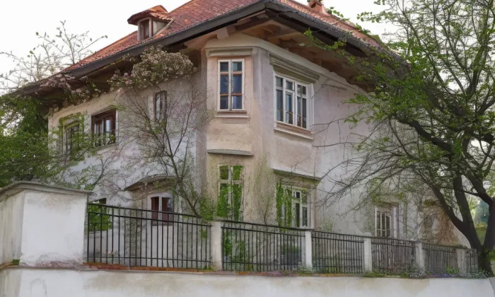 Vila JUDr. Eduarda Šrota – jaro