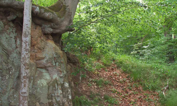 Hradiště Baba (hradiště)