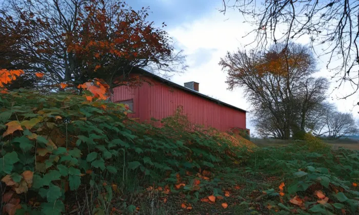 Černohouska – podzim