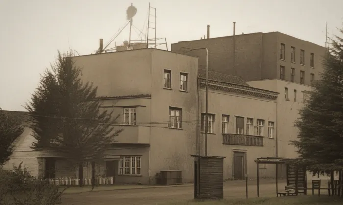 dům Jany a Jana Brummelových – historická rekonstrukce